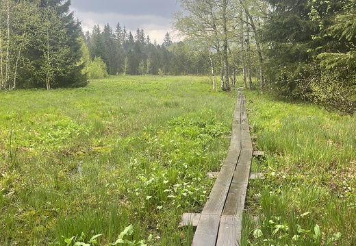 23-05-23 13-08-05 5596